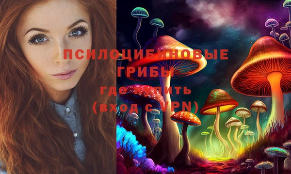 спиды Арсеньев