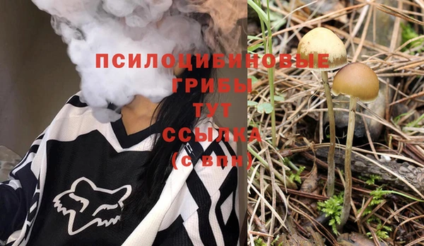 дмт Аркадак
