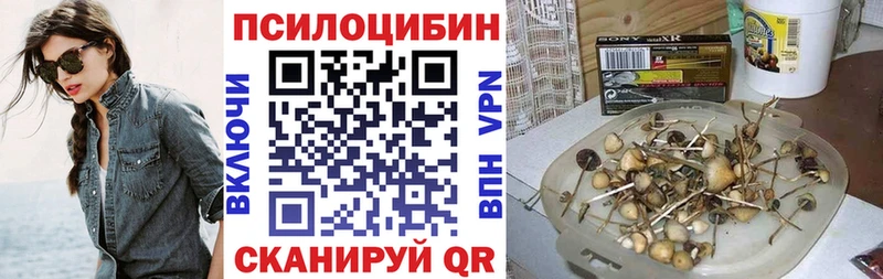 Галлюциногенные грибы MAGIC MUSHROOMS  купить наркоту  Безенчук 